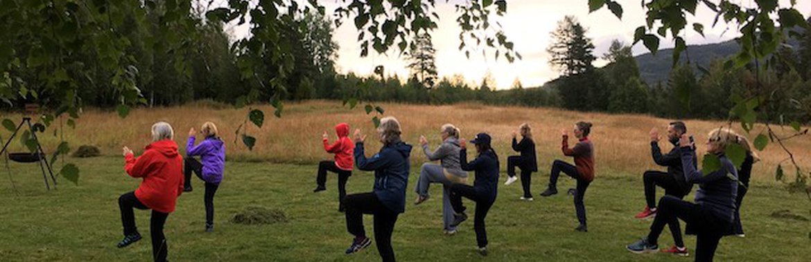Taiji summer retreat at DHarma Mountain 2019